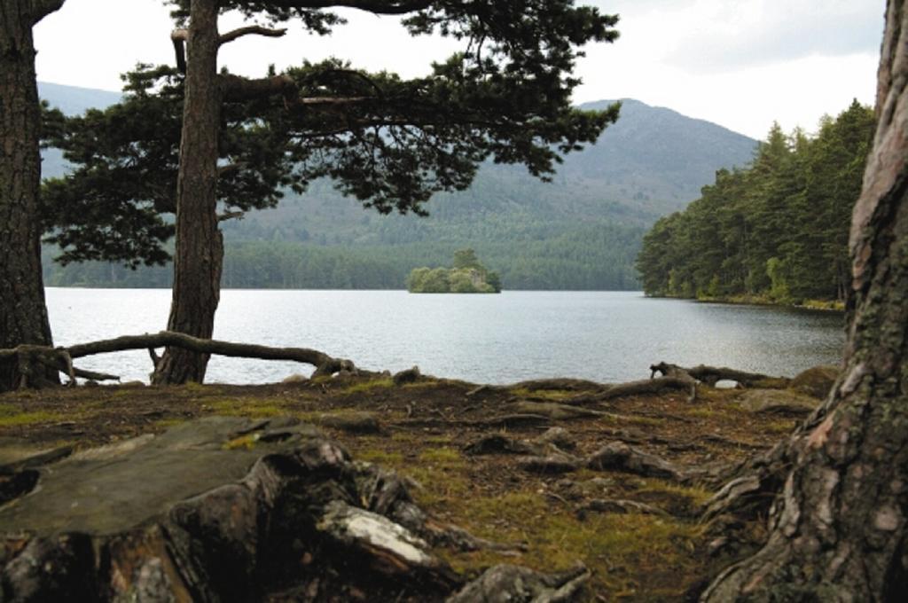 Macdonald Aviemore Hotel At Macdonald Aviemore Resort Экстерьер фото